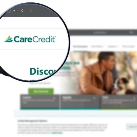 Magnifying glass showing Care Credit logo on their website